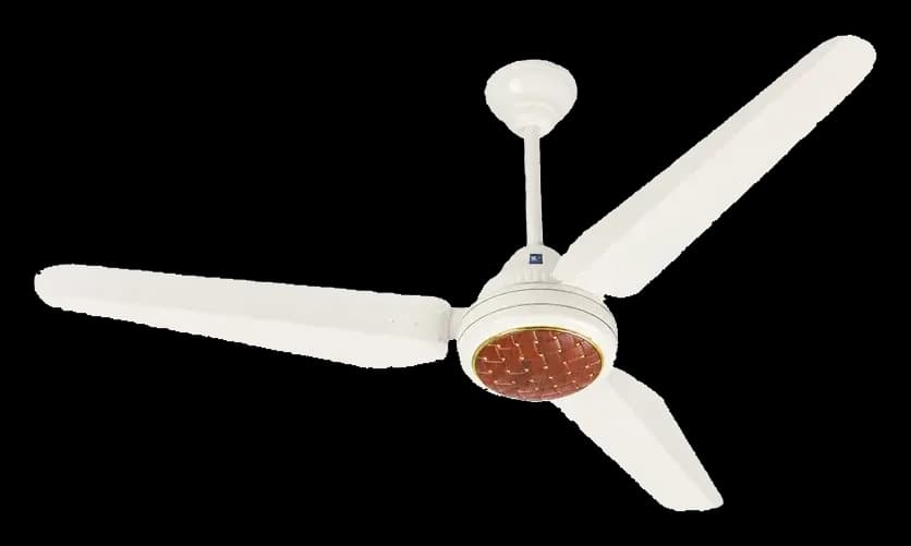 Delite Eco Max — photo 1