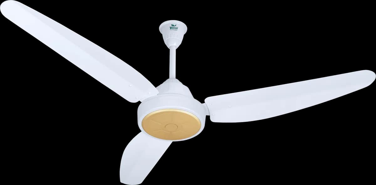 Magnum Plus Model